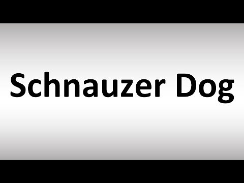 How to Pronounce Schnauzer Dog