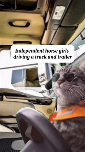 123K views · 21K reactions | Nothing says independent woman like a horse girl #correctconnect #horseriding #equestrian #horsegirl #equestrianproblems | Correct Connect | Facebook