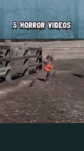 32K views · 532 reactions | What is that?. . . . . #dark #viralreels #horror #creepy #death #paranormal #reels #darkweb #mystery #viral | Unsolved Mysteries | Facebook