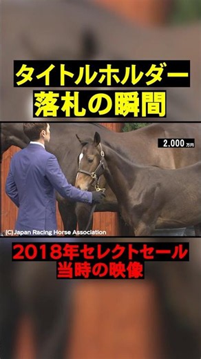 The moment a front-running stayer and titleholder was auctioned off #horse racing #selectsale #sh...