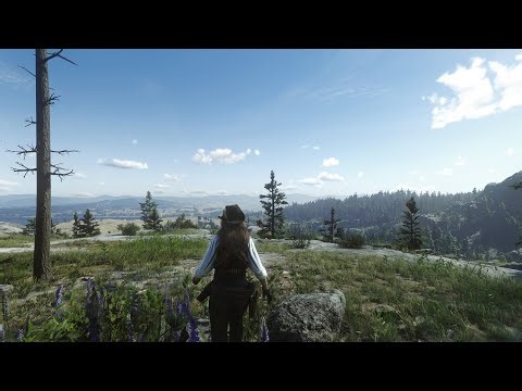 5K - RDR 2 ultra settings with Visual Redemption and FinityShade