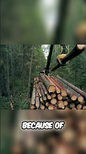 The sixth extinction is happening now—how much time do we have?