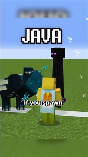 Java Warden and Bedrock warden..