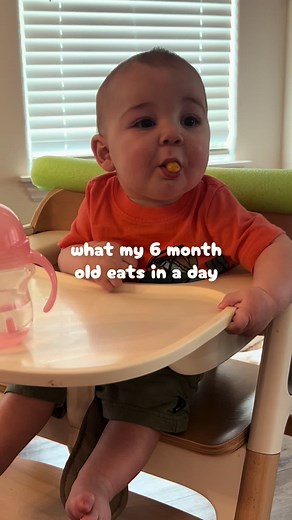 What My 6-Month-Old Eats in a Day | BLW Baby Food