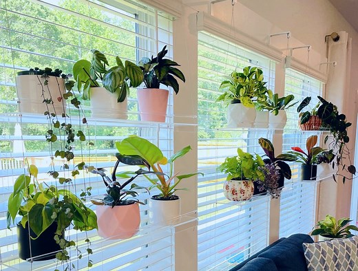 Hanging Window Plant Shelf: Acrylic Indoor Plant Stand, Adjustable Shelves & Fully Assembled - Etsy