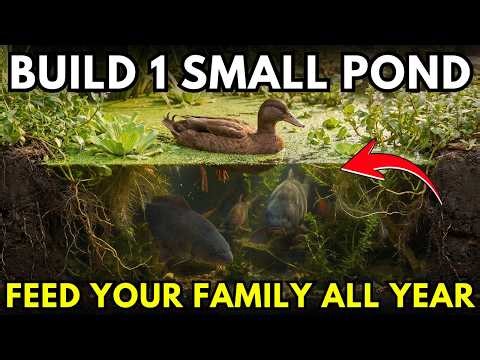 The Forgotten "Infinite Food" Machine