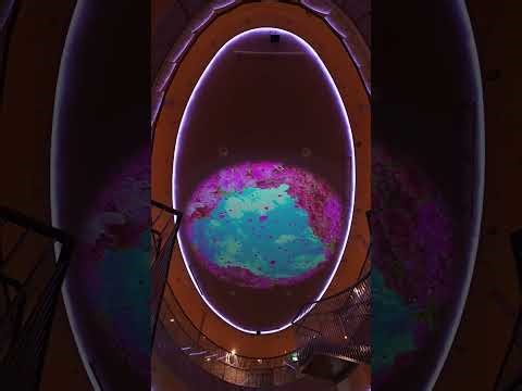 20260312 観光列車海幸山幸とさんふらわあで航くJR日南線貸切列車物語 さんふらわあ船内 第2回プロジェクションマッピング