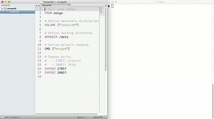 Building an Image and Running a Container