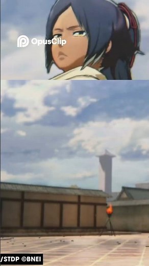 Yoruichi, the story of protecting the heart and soul: Why Soul Society?