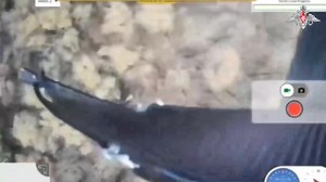 2.7K views · 172 reactions |  Delivery by UAVs UAV operators of an airborne mobile logistics formation deliver food supplies to units on islands in the Dnepr River’s delta by quadcopters. UAVs allow to safely deliver supplies to units deployed in the front line.  | Товарищ - Tovarisch | Facebook