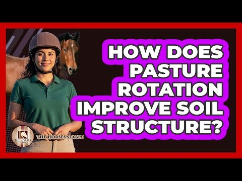 How Does Pasture Rotation Improve Soil Structure?