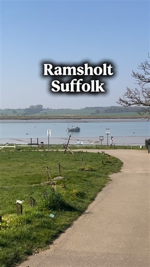 UK Fossils on Instagram: "Ramsholt, Suffolk sits on the banks of the River Deben and is well known among collectors for its Eocene London Clay exposures. The area is especially noted for marine fossils, including fossilised shark teeth, fish remains, molluscs, and occasional crustaceans, washed out from the clay after erosion. #suffolk #fossils #marine"