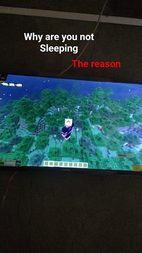 Minecraft playing at 1 'o clock