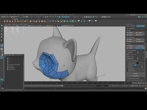 Cat Topology