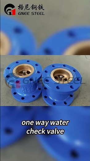 One Way Water Check Valve #valve#checkvalve #watervalve