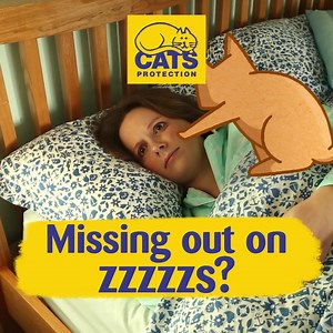 Get tips to help with night-time waking with our cat behaviour emails | Cats Protection