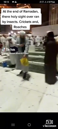 EL Mohel on TikTok