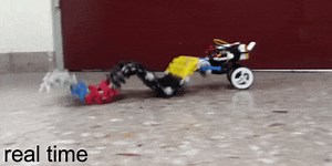 Watch This Wacky Wormbot Dance Its Way Across the Floor and Into Your Heart