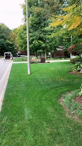 Lawn Care Level: Expert (Watch the Edging!)