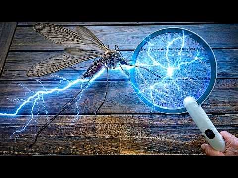 This 2-in-1 Zapper Changed My Yard Forever! ⚡️ (Electric Fly Swatter Review)