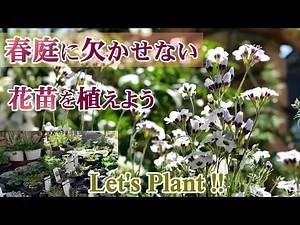 【庭作り】春庭に欠かせない花苗を植える*毎年植えたい春の花/出会いと別れの春を心に/ガーデニング