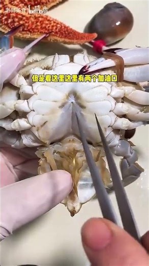 螃蟹的营养价值与食用禁忌