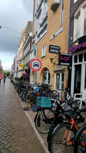 Exploring Amsterdam's Coffeeshop Culture