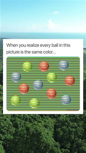 Funny memes #shorts #youtubeshorts #lol #relatable #funnymemes #puzzle #illusion