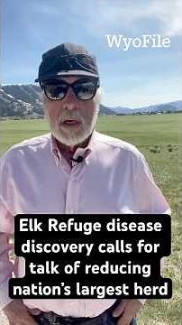 Elk Refuge disease discovery calls for talk of reducing nation’s largest herd