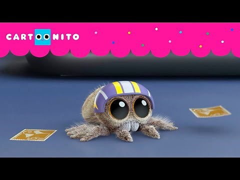 EL GRAN SUEÑO | LA ARAÑA LUCAS | CARTOONITO