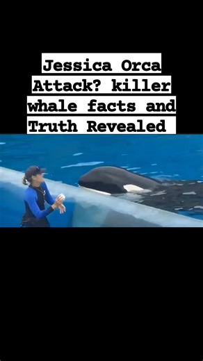 Jessica Orca Attack? killer whale Facts and Truth Revealed #highlights2025 #highlightseveryone #highlight #followers #fbpost2025シ #fbyシvideo #fb #followers #highlightseveryonefollowers2025 | Lily Flowers