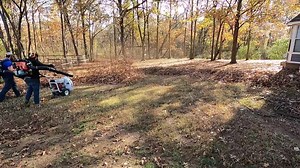 64K views · 3.1K reactions | Start to Finish Leaf Clean up - beautiful leaf clean up - how to get leaf jobs - leaf removal setup | Lawn Care Juggernaut | Facebook