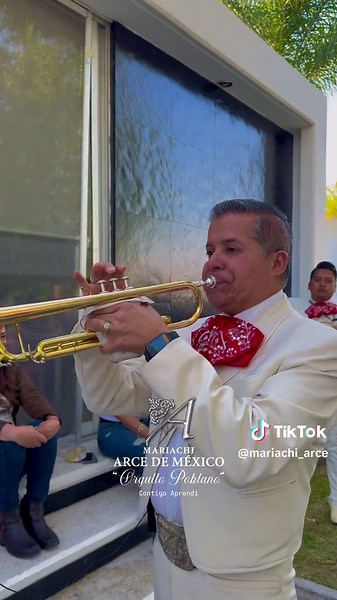 Mariachi Arce de México: Contigo Aprendí - Canciones de Mariachi para Bodas