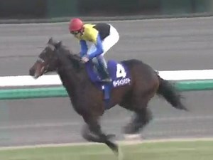 2006 有馬記念 ディープインパクト