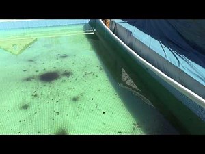 Intex ultra frame pool Spring opening update (part 1)