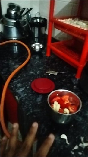 mere kichen m chuha ghas gya 😱 ll #shorts