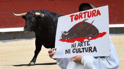 Corridas de toros: Encuesta revela qué emociones emiten y quiénes las rechazan más