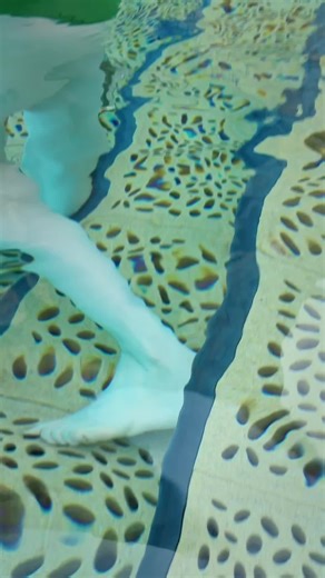 小易工作室 (@bbbb6666888)’s videos with original sound - Slowed Down Songs