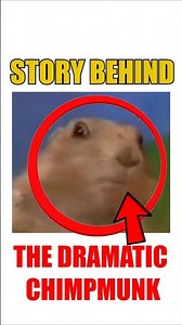 The Story Behind the Dramatic Chipmunk #shorts