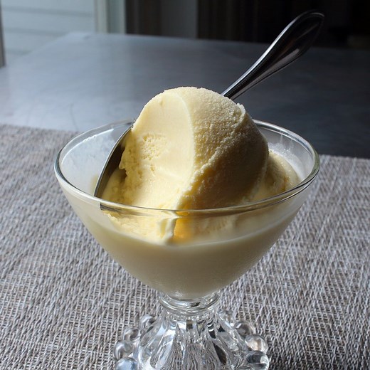 Frozen Vanilla Custard