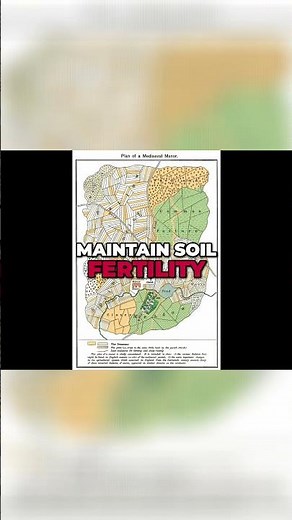 Revolutionizing Farming: Tech Breakthroughs of the High Middle Ages