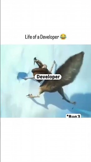 life of a developer