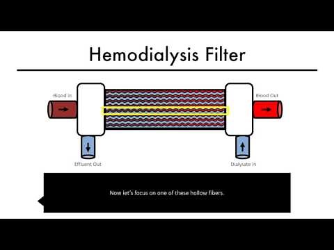 Hemodialysis Kinetics 101 02 The Hemodialysis Filter