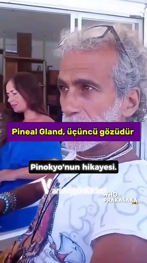 Varoluş Günlükleri | Pinokyo'nun hikayesi. #keşfet #kişiselgelişim #motivasyon #farkındalık #felsefe #psikoloji #pinokyo #üçüncügöz #aydınlanma | Instagram