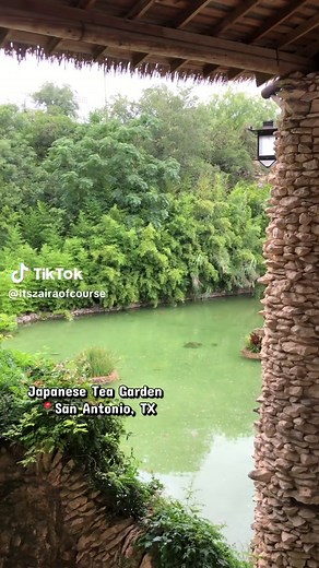 Exploring the Japanese Tea Garden in San Antonio
