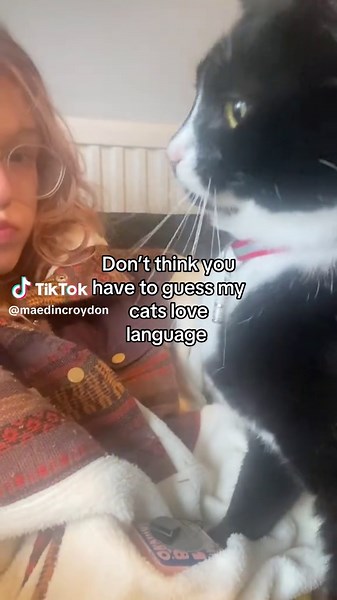 Why is it always the boy cats, pickle (his name) is such a baby😭 #fyp #relatable #cats #catlover