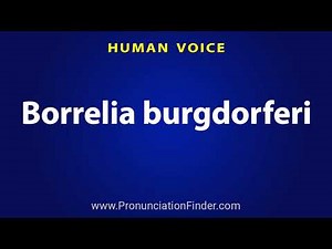 How To Pronounce Borrelia burgdorferi