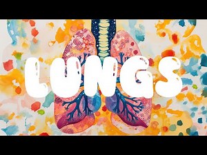 🎵 Lungs Working For You | Fun and Educational Song for Kids | 🫁 Lungs Song 🎵