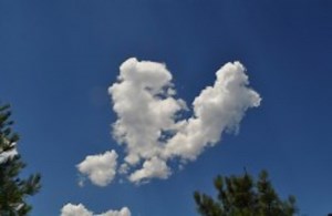 Does heartbreak cause actual pain?