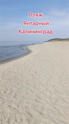 Rid Рыбалка on TikTok